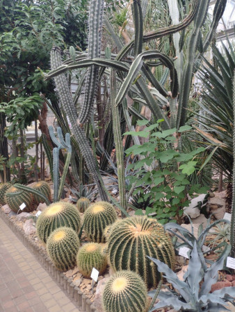 Botanická zahrada Praha